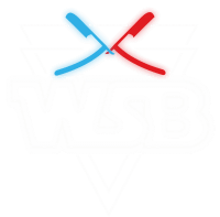 logo wsb