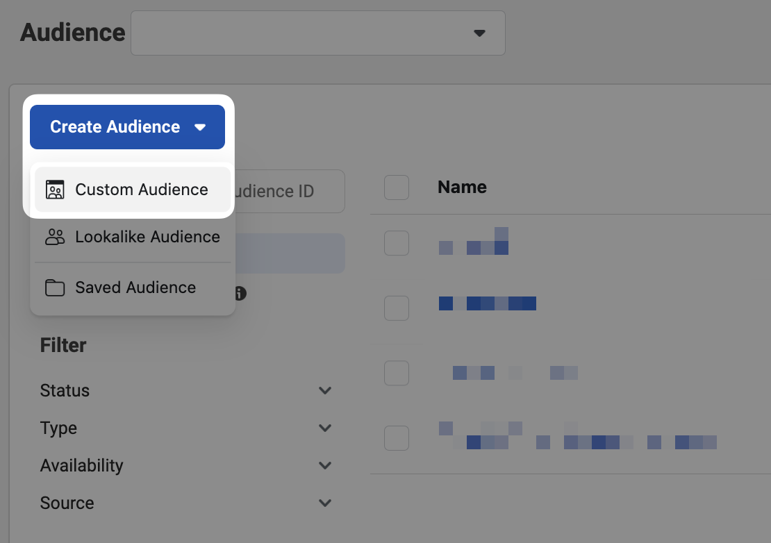 Custom Audience